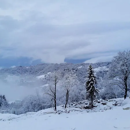 Апартаменты Klara S 23